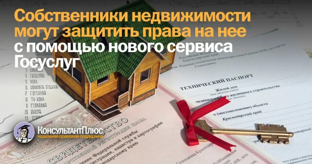 Собственник имущества ооо. Новый сервис для защиты недвижимости. Защита собственников недвижимости через сервис госуслуг.