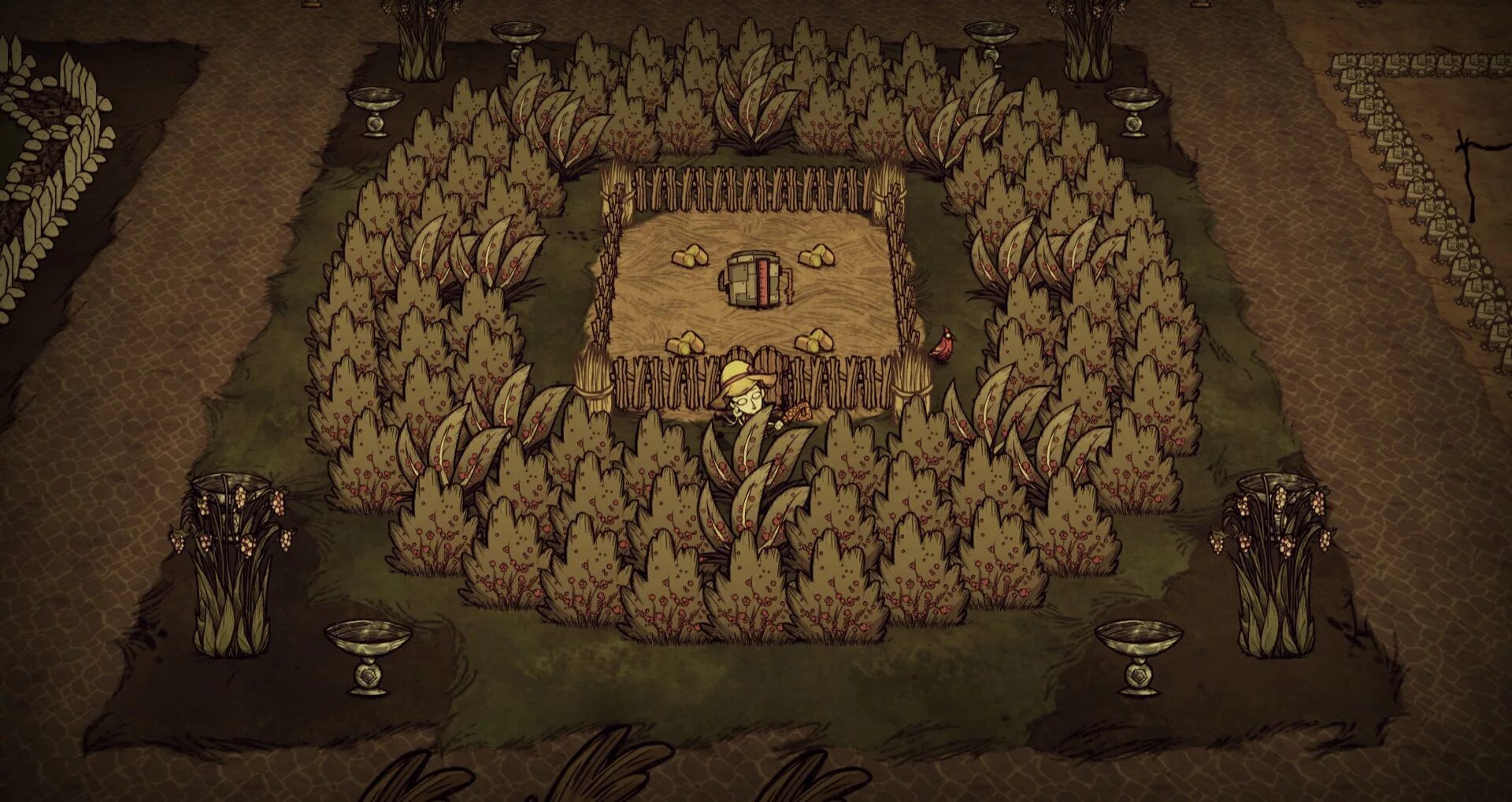 Don't Starve together база. Донт старв базы. Don't Starve together ферма ягод. Don't Starve together красивая база.