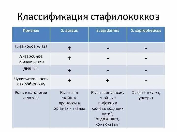 Метод определения стафилококков. Метод определения стафилококков