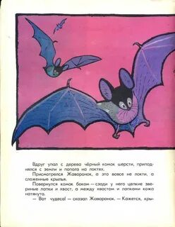 Чьи это ноги
