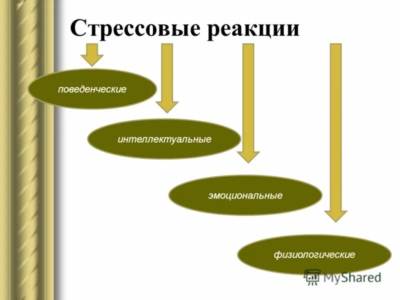 Реакционный человек. Виды стрессовых реакций. Стрессовая реакция физиологическая. Поведенческие реакции на стресс. Типы проявления стрессовой реакции.