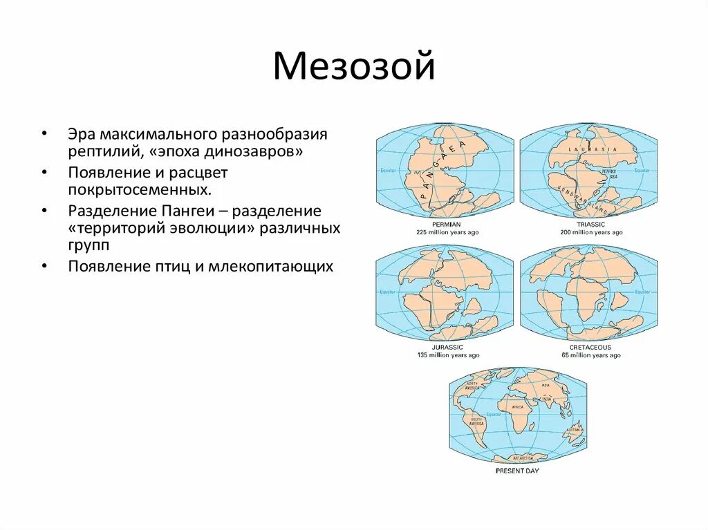 Максимально разнообразным
