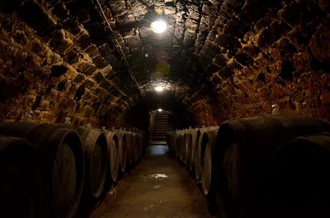 Dark wine cellar