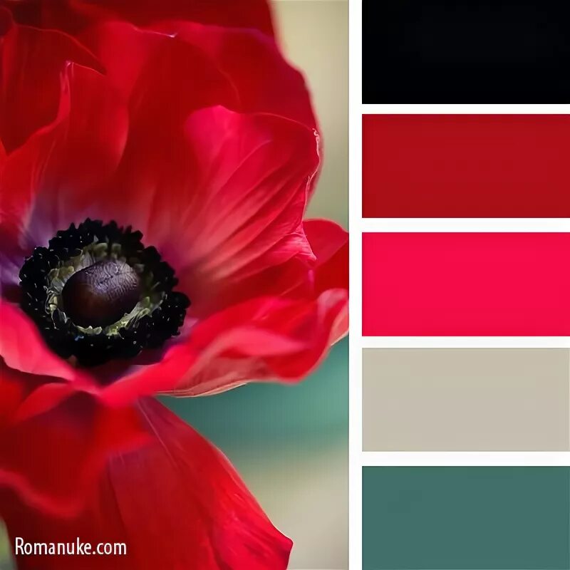 Цветовые сочетания. Сочетание красного цвета в интерьере. Цвета сочетающиеся с красным и белым. Цвета сочетающиеся с красным. Цвета сочетающиеся с красным и белым.