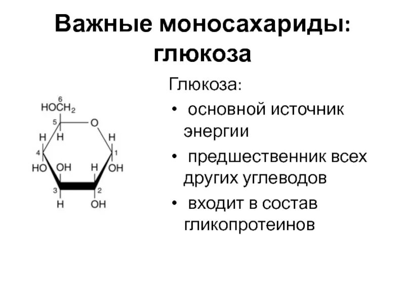 Наиболее распространенный моносахарид. Важнейшие моносахариды. Моносахариды представители. Основные моносахариды. Моносахариды формулы и названия.