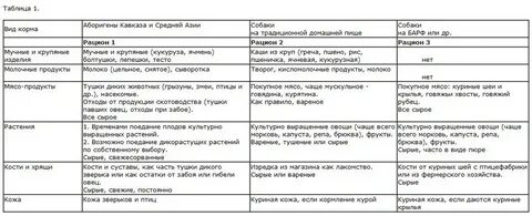 Что можно давать щенку кроме корма