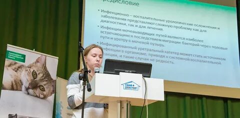 Нейровет