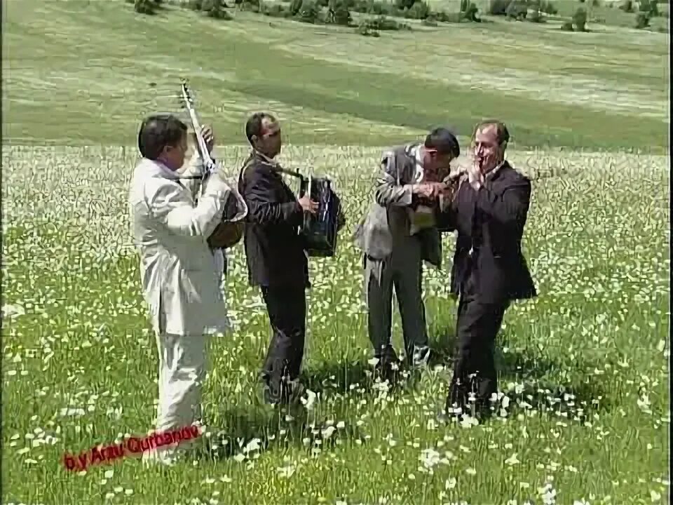 Ашыглары. Ашыглары. Ашыг дамир кедабек. Кедабек ашыглары азербайджан. Ашыг акбер.