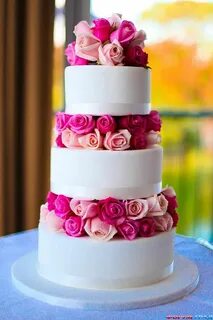 18 cakes