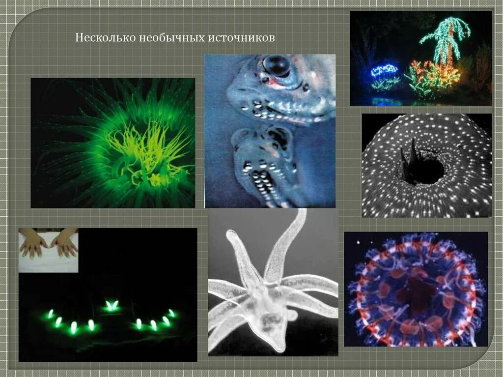 Искусственные источники света. Естественные источники света. Естественные и искусственные источники света. Источник света коллаж. Источник света класса 1