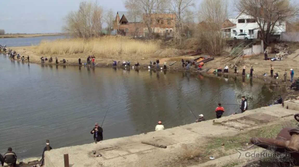 Рыбалка в сергиевском районе клевое место. Сусканский залив Тольятти. Тольятти Хрящевка Сусканский залив. Васильевские озера Тольятти. Сусканский залив Тольятти рыбалка.