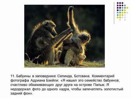 Сколько последовательностей можно составить из слова бабуин
