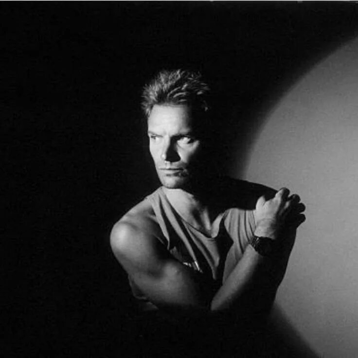 Как сделать стинг из бумаги. Стинг молодой. sting в молодости. стинг певец в молодости.