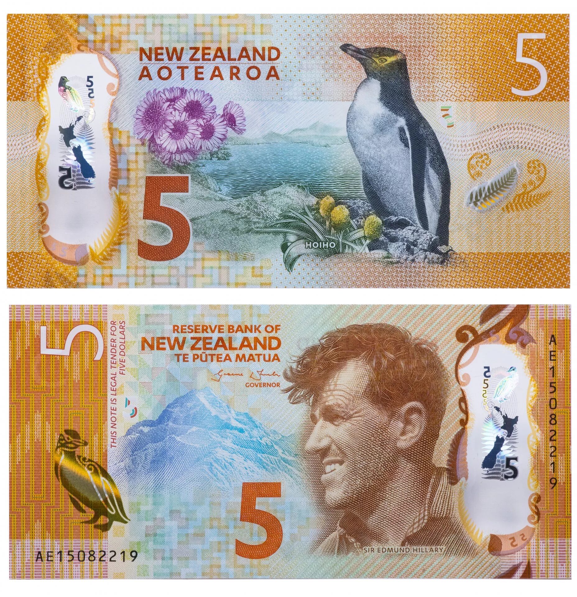 Новые 5 долларов. Купюра 5 доллара новая Зеландия. 5 Новозеландских долларов. Новая Зеландия 5 долларов 2015. Купюры новой Зеландии.