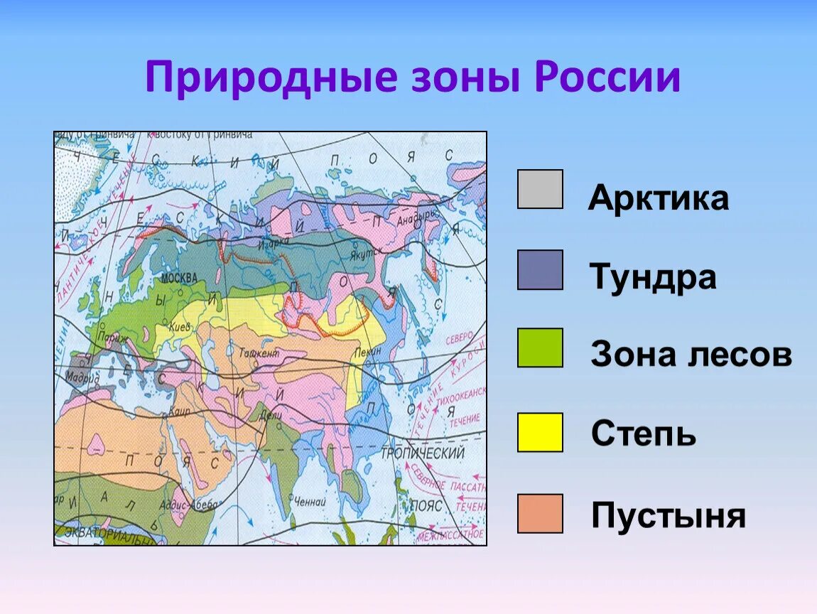 Повторить природные зоны. Карта природных зон России 4 класс окружающий мир. Карта природные зоны России 4 класс окружающий мир природные зоны. Природные зоны окруж мир 4 класс. Природные зоны тундры 4 класс окружающий мир на карте.