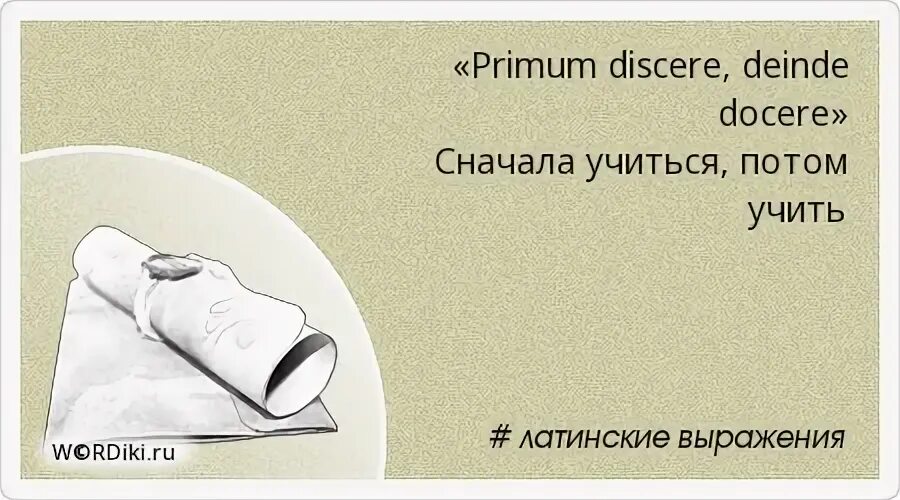 Демотиватор птицы. Ошибка ошибка. Потом научусь. Научитесь любить себя цитаты. Ты еще никогда так не ошибался.