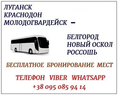 Автобус старый оскол россошь