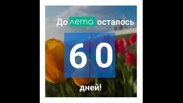Сколько дней минут миллисекунд осталось до лета