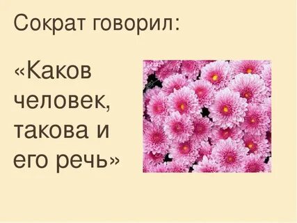 Каков язык таков и