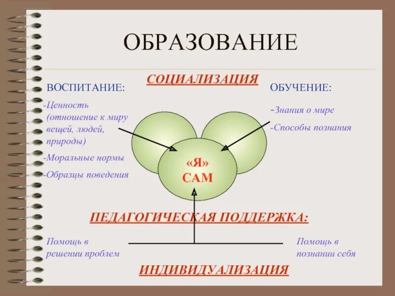 Воспитание и образование мнение