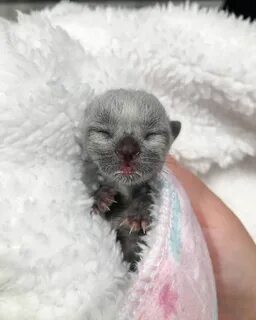 Tiny but