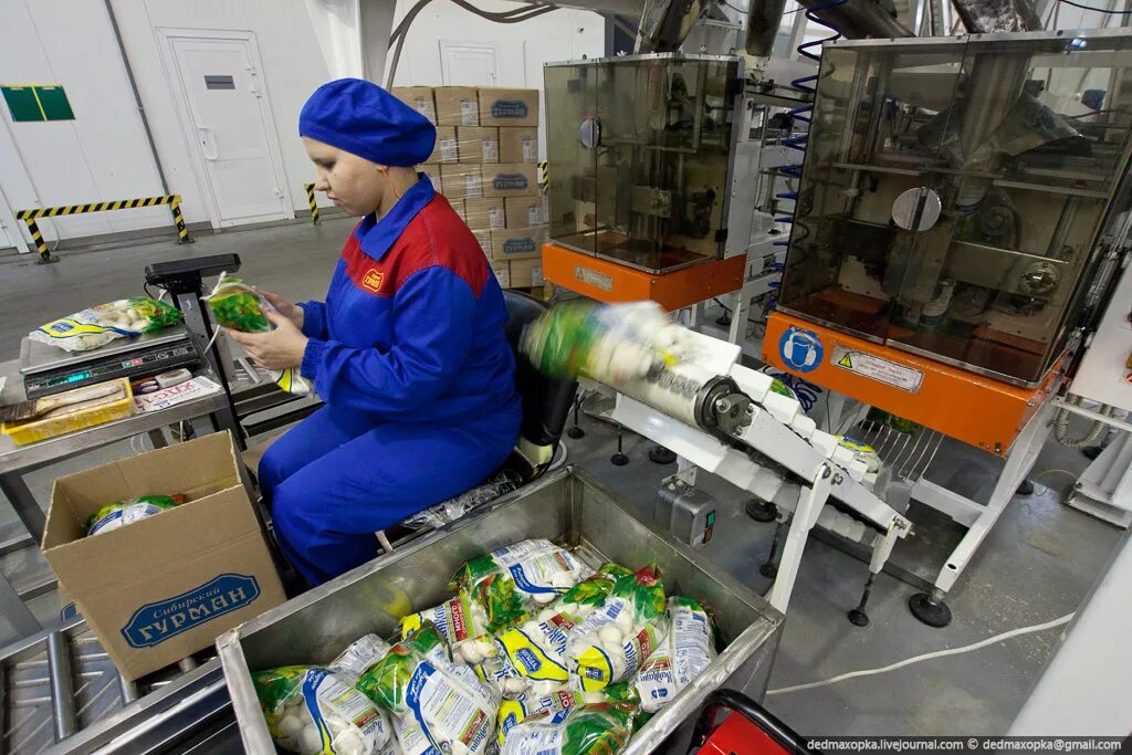 Что делает упаковщик. Фасовка товара. фасовка и упаковка готовой продукции. фасовка на производстве. укладчик-упаковщик.