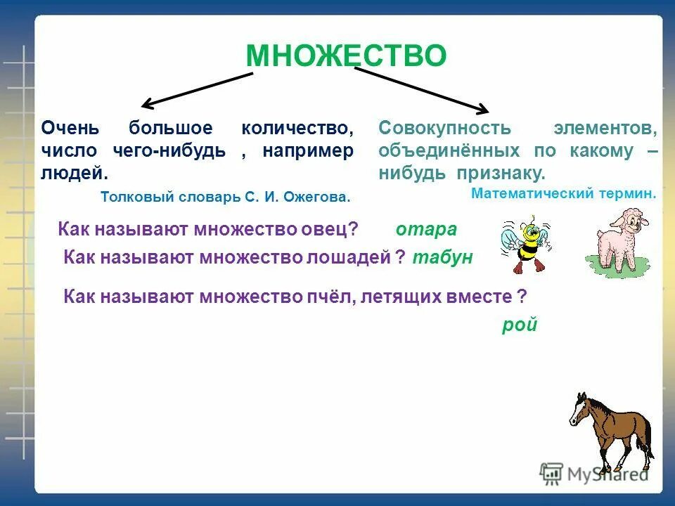 Элементы множества это в математике. Множество и его элементы. множество и его элементы 2 класс. множество и его элементы 1 класс. множество и его элементы 3 класс.