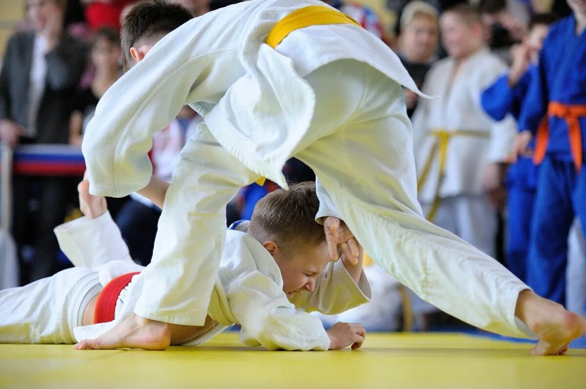 джудо. роберт варданян дзюдо. основатель дзюдо дзигоро кано. аида джигерова дзюдо. дзюдо картинки.