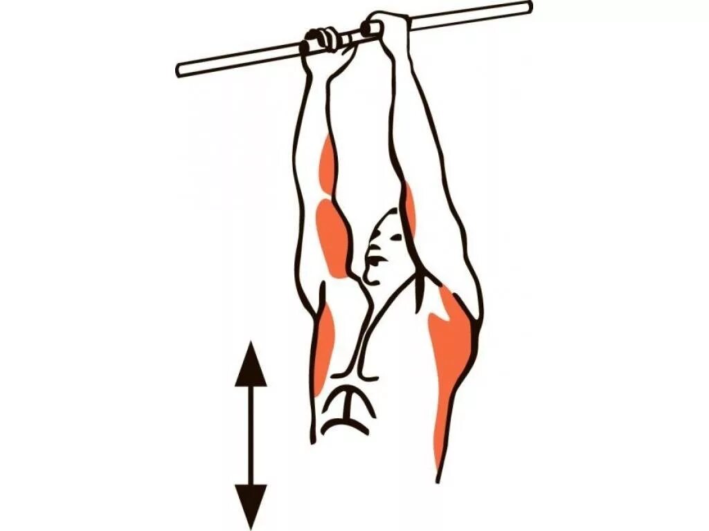 Подтягивания узким параллельным хватом. Подтягивания параллельным хватом мышцы. Подтягивания параллельным (нейтральным) хватом. Подтягивания на турнике параллельным хватом.