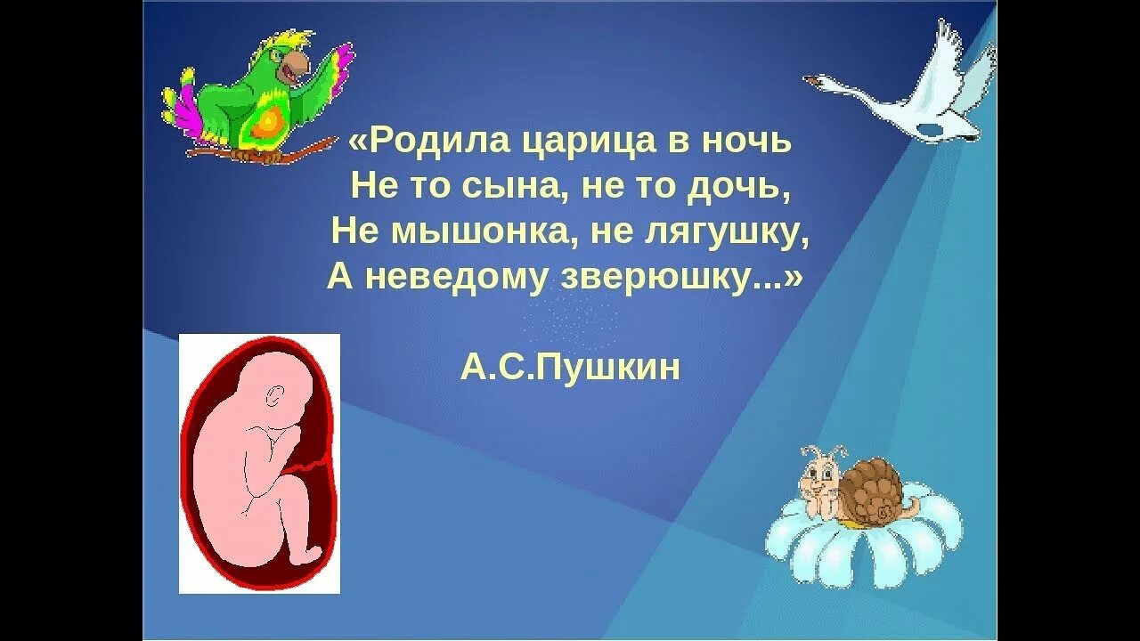 Царица родила дочь. Родила царица в ночь не то сына не то дочь не мышонка не лягушку. Родила царица в ночь не то сына не то дочь. Родила царица в ночь неведому зверушку. Не то сына не то дочь не мышонка не лягушку а неведому зверюшку.