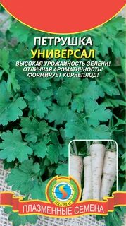 Петрушка многолетняя