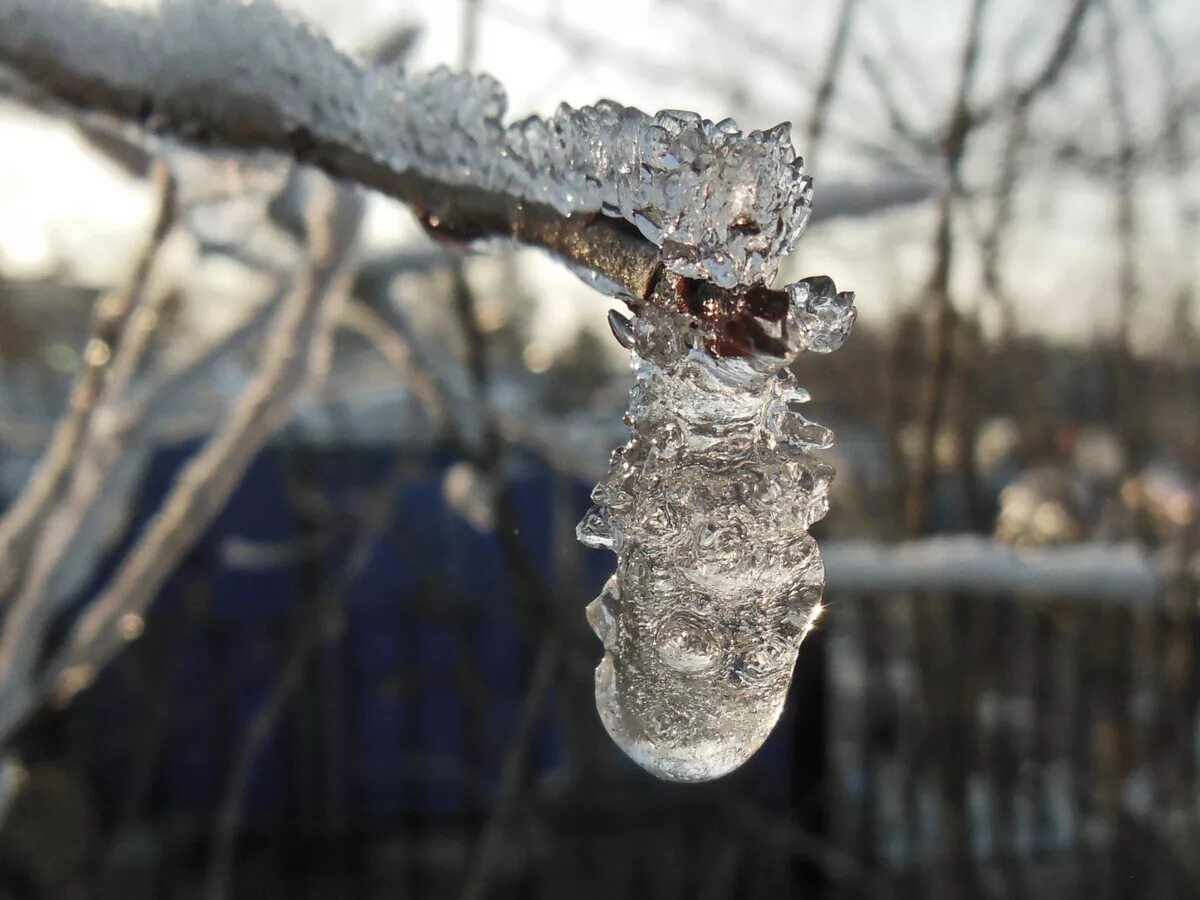 приходит оттепель. приходит оттепель.