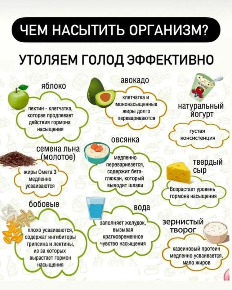 Почему появляется голод. Чем можно утолить голод. Продукты утоляющие голод. Продукты для утоления голода. Продукты которые быстро утоляют голод.