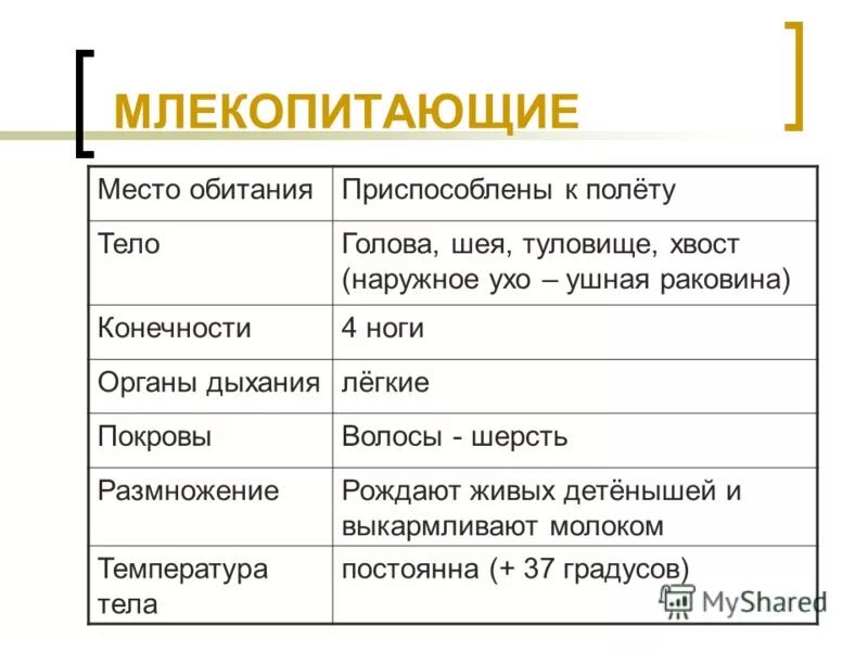 Местообитание млекопитающих. Сводная таблица млекопитающих биология 7 класс. Экологические группы млекопитающих. Таблица группы млекопитающих 7 класс биология. Сравнительная характеристика пресмыкающихся и млекопитающих.