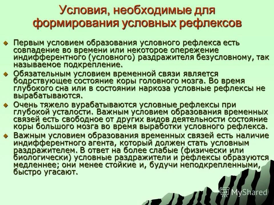 Что является условием рефлексом. Условия образования условных рефлексов. Условия, необходимые для формирования условного рефлекса.. Условия необходимые для образования условного рефлекса. Перечислите условия необходимые для образования условного рефлекса.