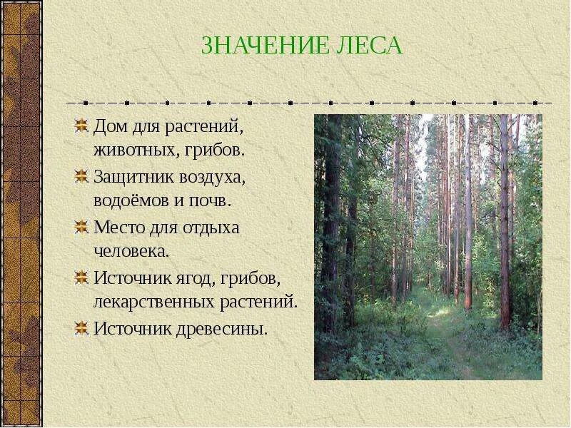 Значение леса. Зона лесов 4 класс. Лесная зона урок 4 класс. Домик для растений животных защитник воздуха водоемов.