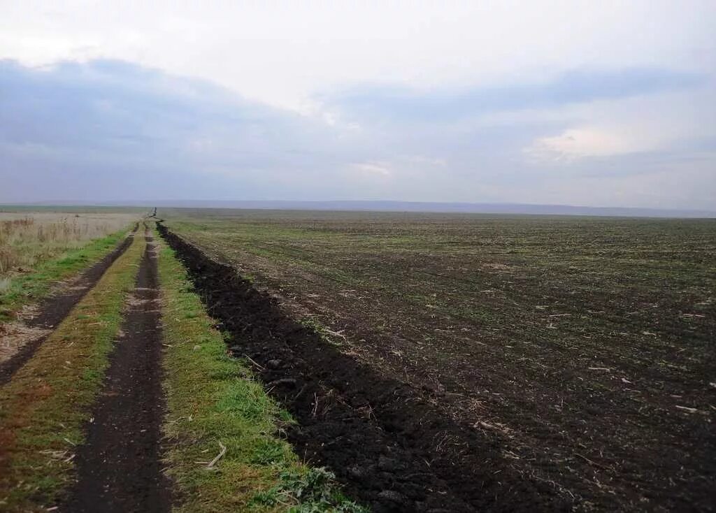 Взять в аренду землю сельхозназначения