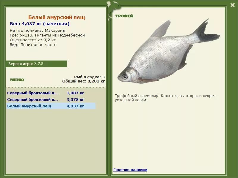 русская рыбалка 3 7 6 амур белый амурский лещ. реальная рыбалка амурский лещ. лещ на дону в реальной рыбалке. чёрный лещ рр3. русская рыбалка 3 подкаменная тунгуска карась серебряный.