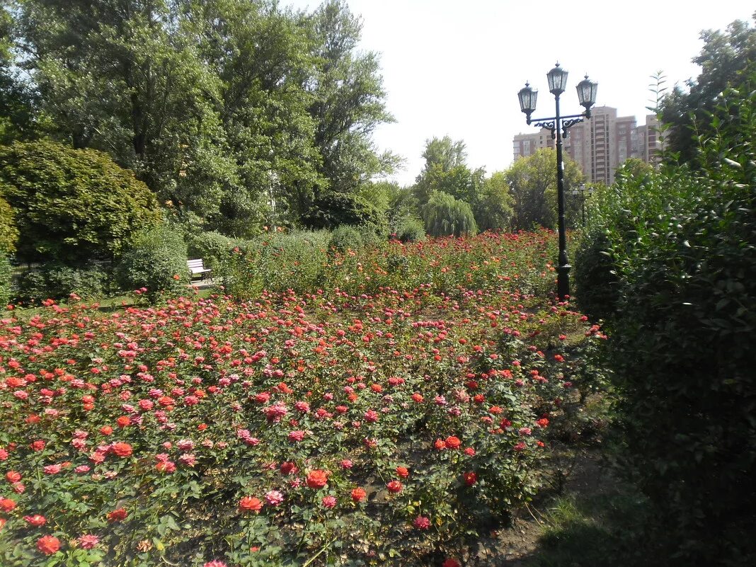 Представители бизнес-сообщества намерены помочь городу в ландшафтном благоустрой