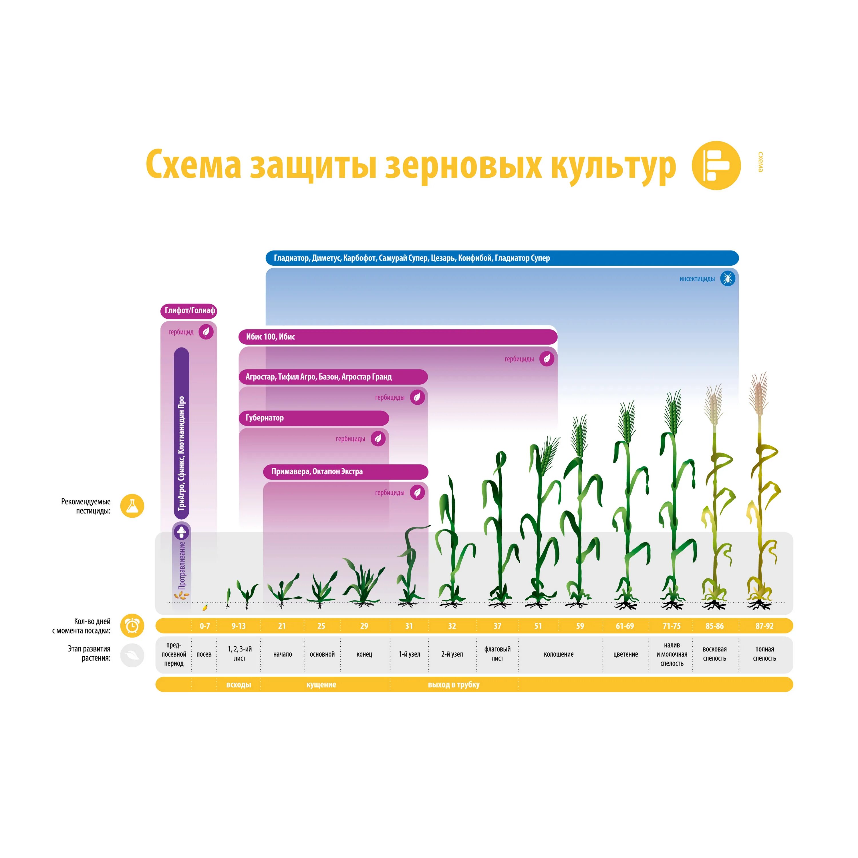 схема защиты растений щелково агрохим. выбор системы защиты. многоядные вредители пшеницы. защита от вредителей зерновых культур. защита зерновых культур.