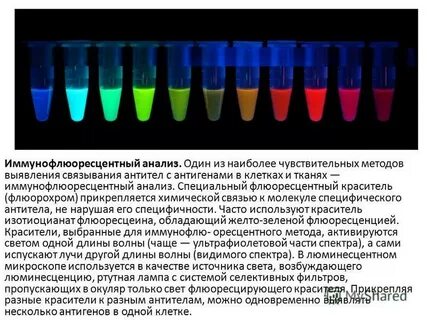 Исследование проводимое специально