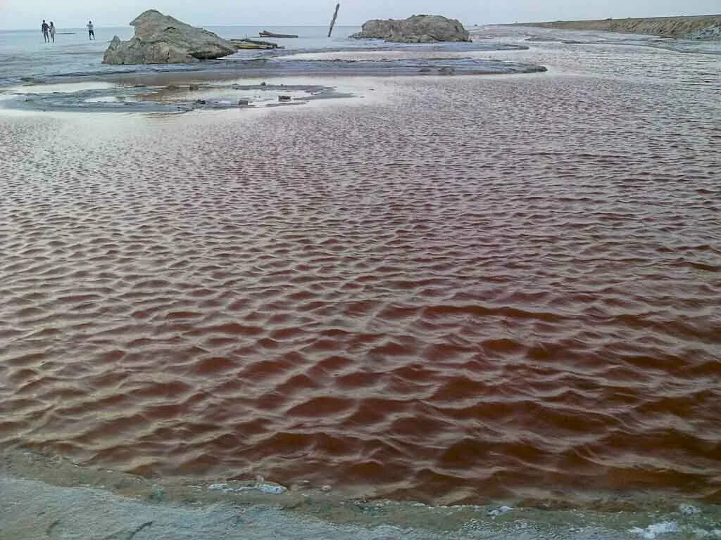 Речная соль. Тунис соленое озеро. Тунис соляные озера. Соленое озеро в сахаре.