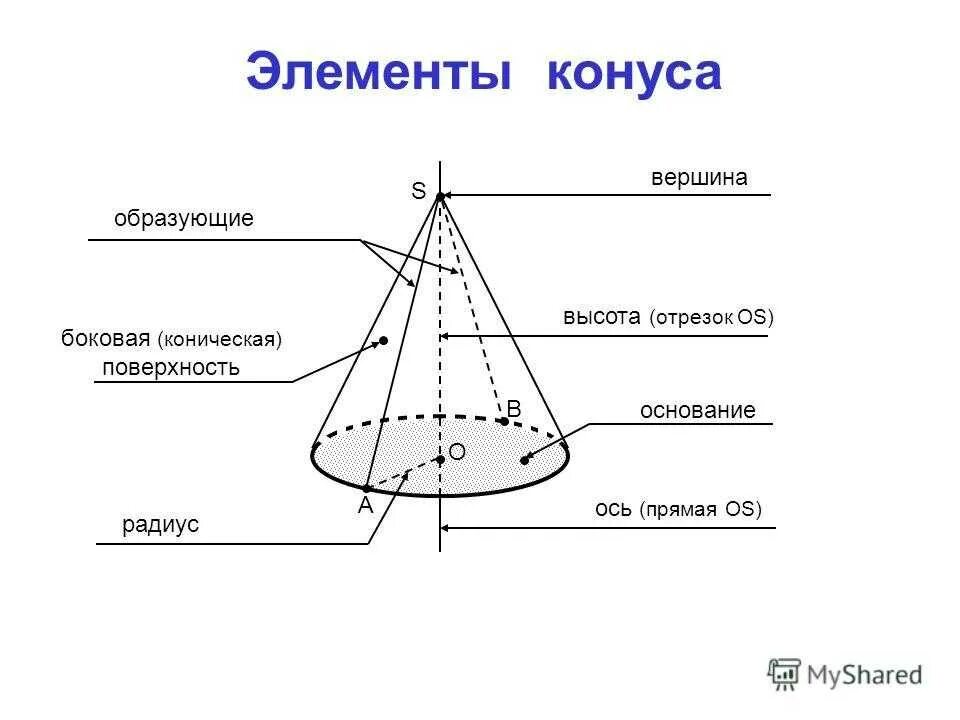 Установить которые являются основанием