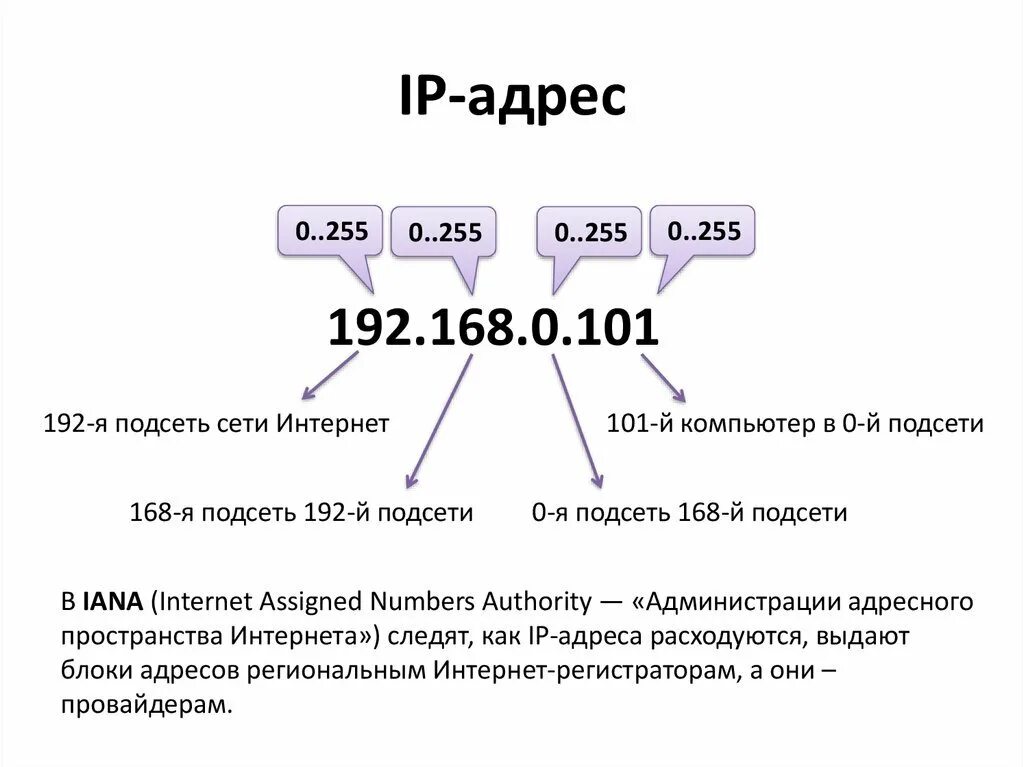 Сетевой адрес компьютера как узнать. Как выглядит ip адрес. как выглядит корректный ip адрес. как составляется ip адрес. расшифровка ip адреса.