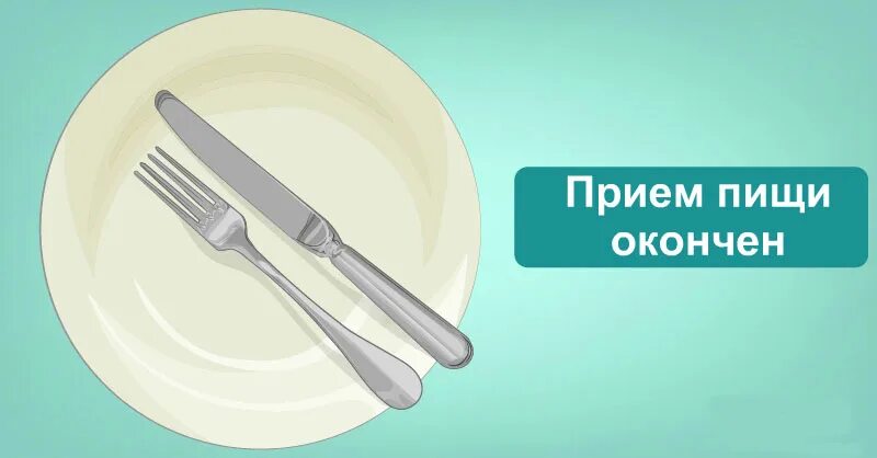продукты питания. здоровое питание. снижение аппетита. приготовление пищи. пища закончить.