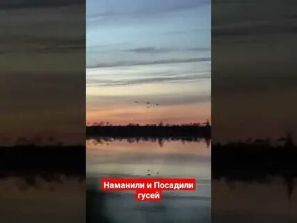 Полюбила наманила
