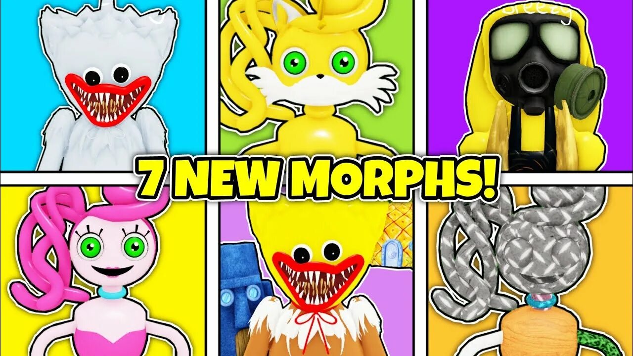 Find the noobies morphs. Find the noobies morphs