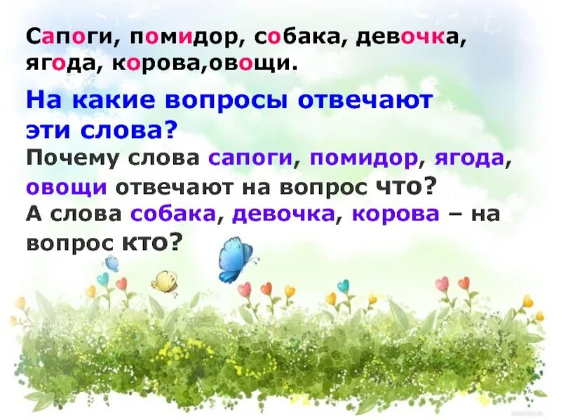 На какой вопрос отвечает помидор