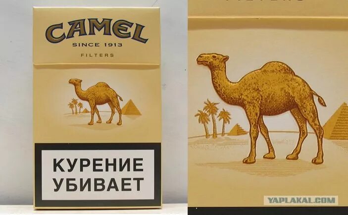 Camel 1913 пачка сигарет. Пачка сигарет кэмел желтый. Camel сигареты самец. Сигареты кэмел бригада.