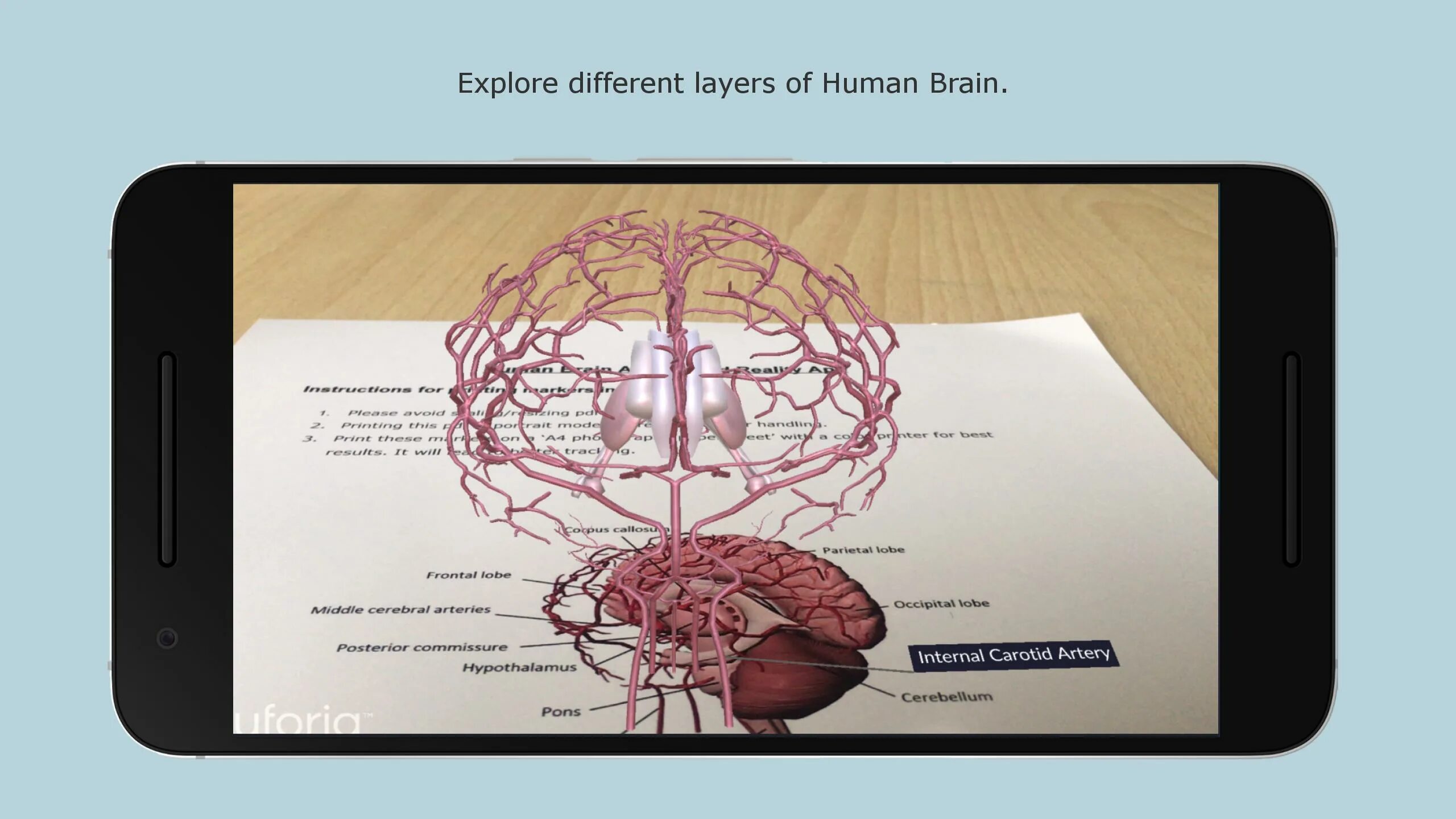 Brain apk. Brain андроид. AUGB - augmented Brain. Captured Brain.
